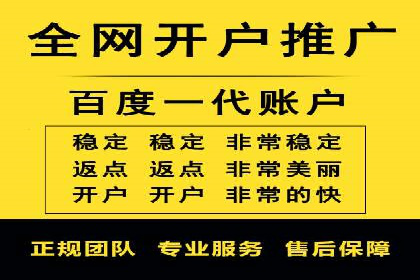 知名SEM运营公司实战案例解析